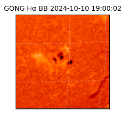 gong - 2024-10-10T19:00:02