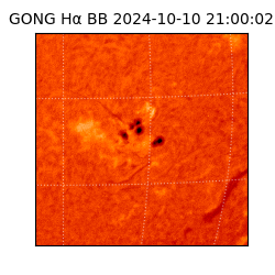 gong - 2024-10-10T21:00:02