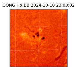 gong - 2024-10-10T23:00:02