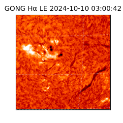 gong - 2024-10-10T03:00:42