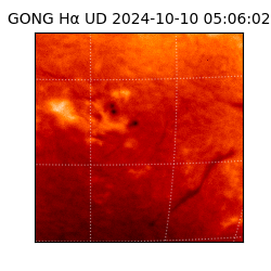gong - 2024-10-10T05:06:02