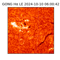 gong - 2024-10-10T06:00:42