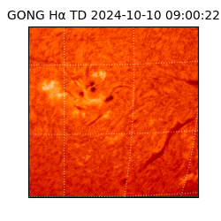 gong - 2024-10-10T09:00:22