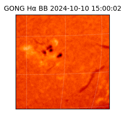 gong - 2024-10-10T15:00:02