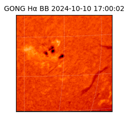 gong - 2024-10-10T17:00:02