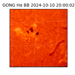 gong - 2024-10-10T20:00:02