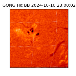 gong - 2024-10-10T23:00:02