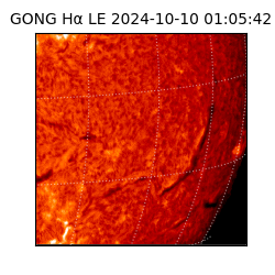 gong - 2024-10-10T01:05:42
