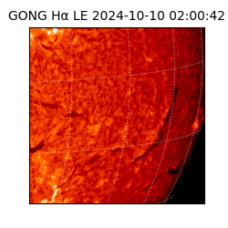 gong - 2024-10-10T02:00:42