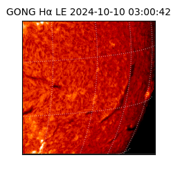 gong - 2024-10-10T03:00:42