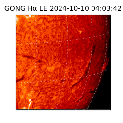 gong - 2024-10-10T04:03:42