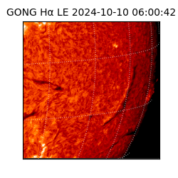 gong - 2024-10-10T06:00:42