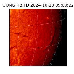 gong - 2024-10-10T09:00:22