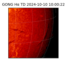gong - 2024-10-10T10:00:22
