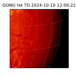 gong - 2024-10-10T12:00:22