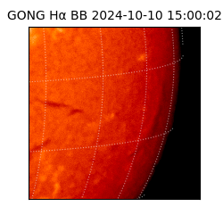 gong - 2024-10-10T15:00:02