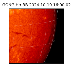 gong - 2024-10-10T16:00:02