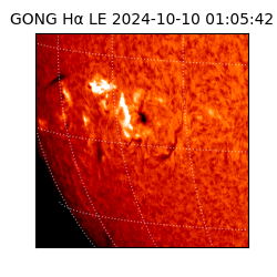 gong - 2024-10-10T01:05:42