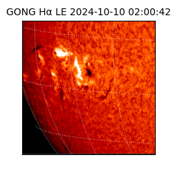 gong - 2024-10-10T02:00:42