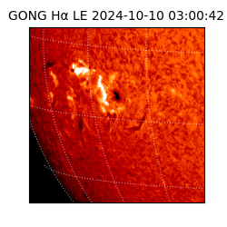 gong - 2024-10-10T03:00:42