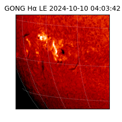 gong - 2024-10-10T04:03:42