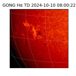 gong - 2024-10-10T08:00:22