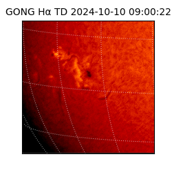 gong - 2024-10-10T09:00:22