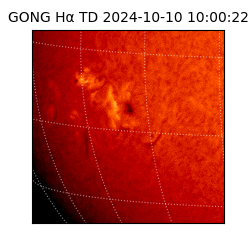 gong - 2024-10-10T10:00:22