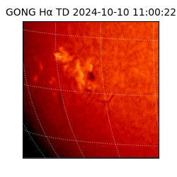 gong - 2024-10-10T11:00:22