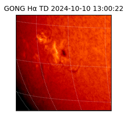 gong - 2024-10-10T13:00:22