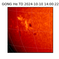 gong - 2024-10-10T14:00:22