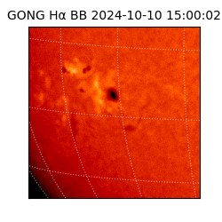 gong - 2024-10-10T15:00:02