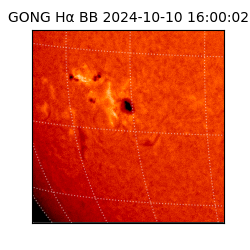 gong - 2024-10-10T16:00:02