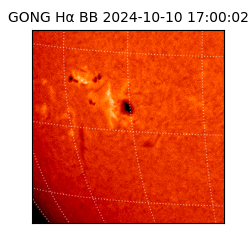 gong - 2024-10-10T17:00:02