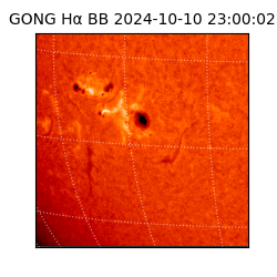 gong - 2024-10-10T23:00:02