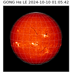 gong - 2024-10-10T01:05:42
