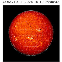 gong - 2024-10-10T03:00:42