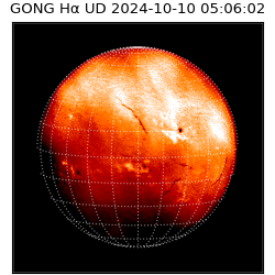 gong - 2024-10-10T05:06:02