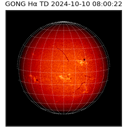 gong - 2024-10-10T08:00:22