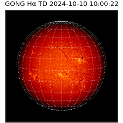 gong - 2024-10-10T10:00:22