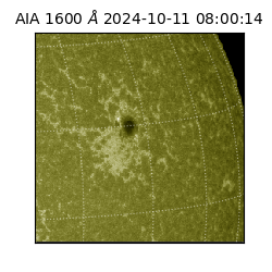 saia - 2024-10-11T08:00:14.126000