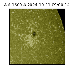 saia - 2024-10-11T09:00:14.126000