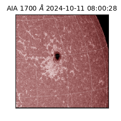 saia - 2024-10-11T08:00:28.717000