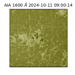 saia - 2024-10-11T09:00:14.126000