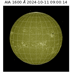 saia - 2024-10-11T09:00:14.126000