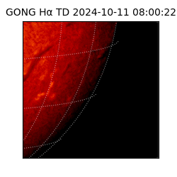 gong - 2024-10-11T08:00:22