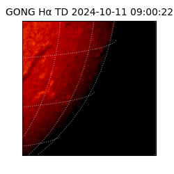 gong - 2024-10-11T09:00:22