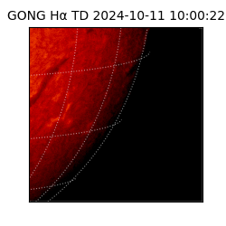 gong - 2024-10-11T10:00:22