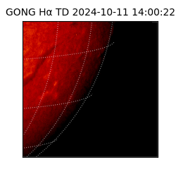 gong - 2024-10-11T14:00:22