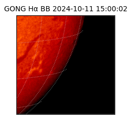 gong - 2024-10-11T15:00:02